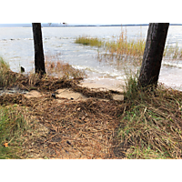 King tide Williamsburg in James city County image